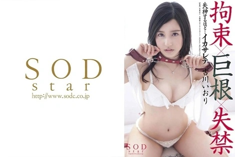 STAR-462 | HD UMR (2013) | Iori Kogawa