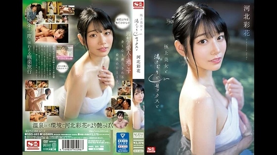 SSIS-685