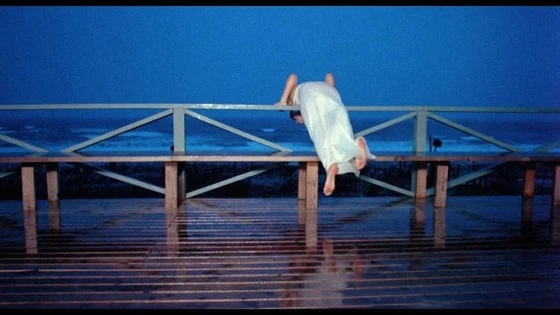A Woman’s Torment 1977 Directed by Roberta Findlay