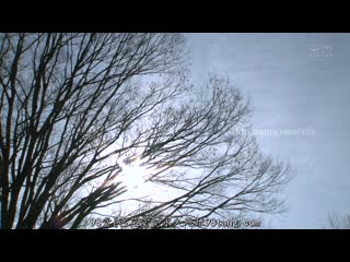 Airi Kijima - JUL-195 2020 (Madonna) / япония секс порно /
