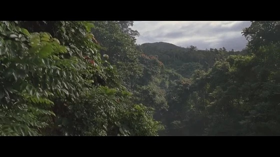 Анаконда 2: Охота за проклятой орхидеей / Anacondas: The Hunt for the Blood Orchid (2004) Триллеры, Ужасы, Боевики, Приключения, Фантастика
