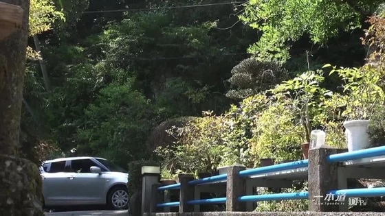 Video by Tsuna Kimura