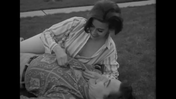 Miniskirt Love / Любовь к миниюбкам (1967)