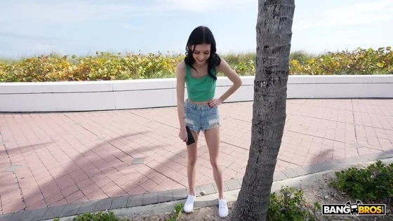 BangBus Bella Nova