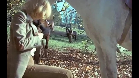 SpankBang.com_french+vintage+part+2+4k+2160p_480p